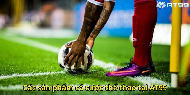 Thể Thao AT99 – Trải Nghiệm Cá Cược Thể Thao Đỉnh Cao 2 Các sản phẩm cá cược thể thao tại AT99